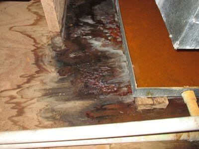 About Experienced Water Damage Restoration LLC